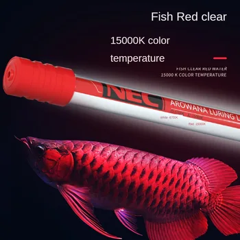 Светильник для аквариумных рыбок Arowana Diving Golden Red Dragon Специальная Водонепроницаемая Трехосновная Осветляющая лампа для окрашивания волос T8 98-158 см