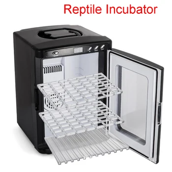 Инкубатор для рептилий, интеллектуальный инкубатор, охлаждение и нагрев Для Маленьких рептилий, инкубатор