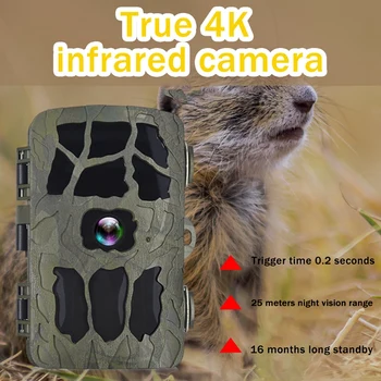 1 Комплект Охотничья камера Ночного видения, индукционная камера дикой природы, 20 миллионов камер высокой четкости Ip66, водонепроницаемая